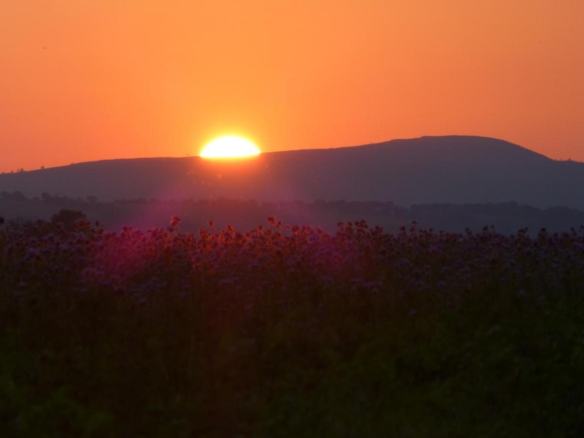 Gite De Caractere Lopérec Exteriér fotografie